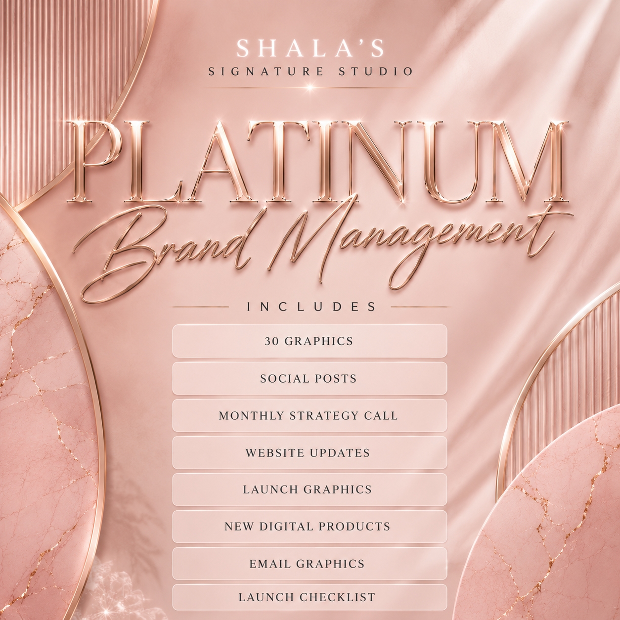PLATINUM BRAND MANAGEMENT
