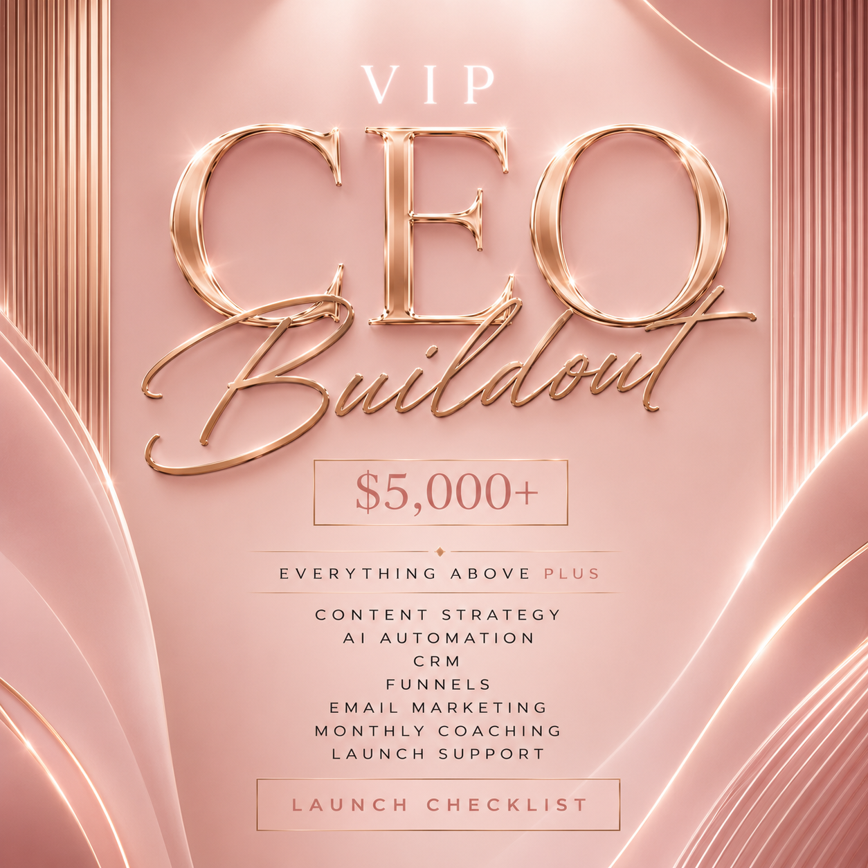 VIP CEO BUILDOUT